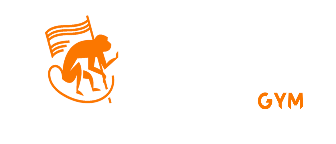 Monkey Gym Rennes